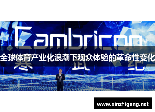 全球体育产业化浪潮下观众体验的革命性变化